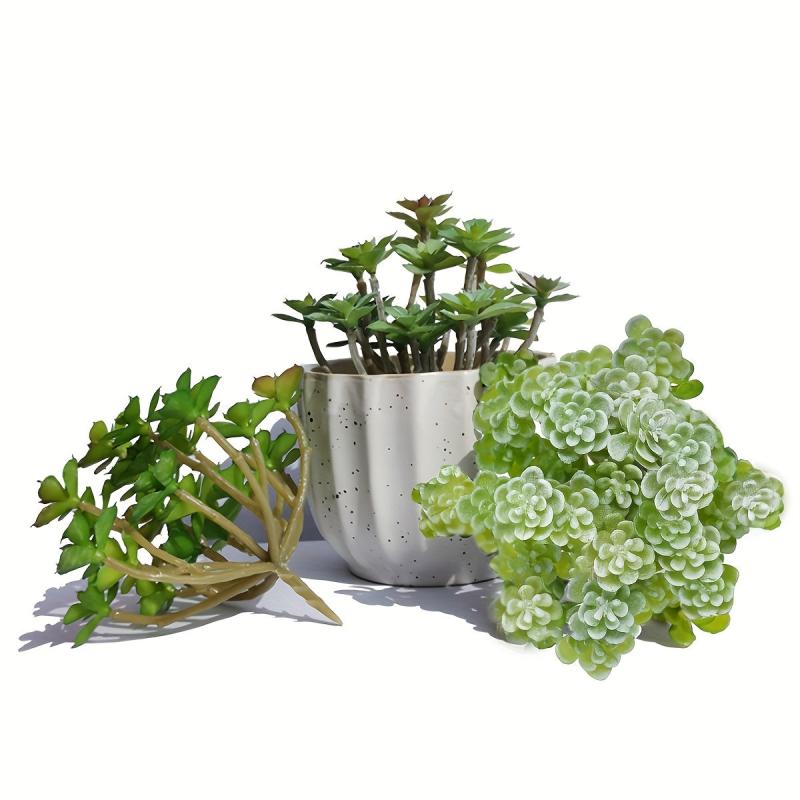 Realistic Succulent Plant for Balcony and Home Decor