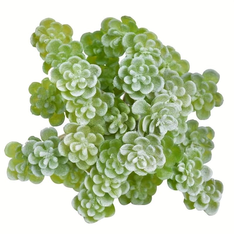 Realistic Succulent Plant for Balcony and Home Decor