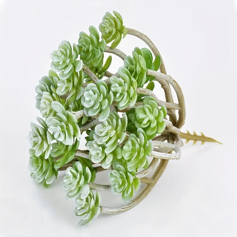 Realistic Succulent Plant for Balcony and Home Decor