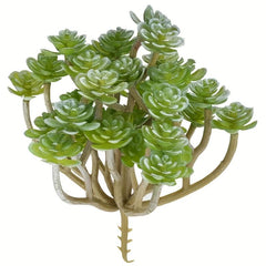 Realistic Succulent Plant for Balcony and Home Decor