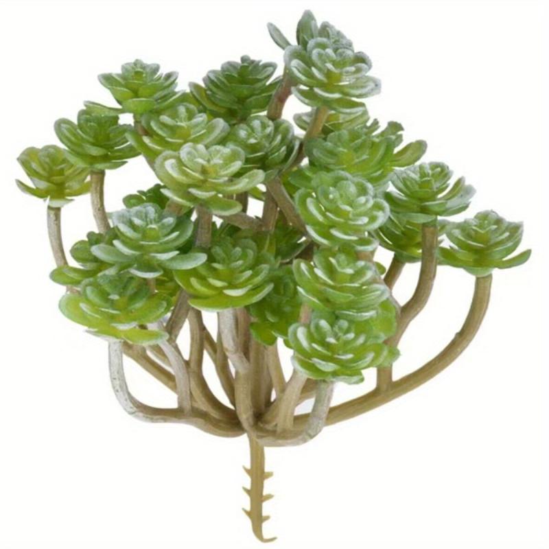 Realistic Succulent Plant for Balcony and Home Decor