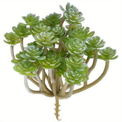Realistic Succulent Plant for Balcony and Home Decor