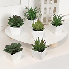 6pcs Mini Artificial Succulent Plants with Pots for Decoration