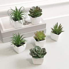 6pcs Mini Artificial Succulent Plants with Pots for Decoration