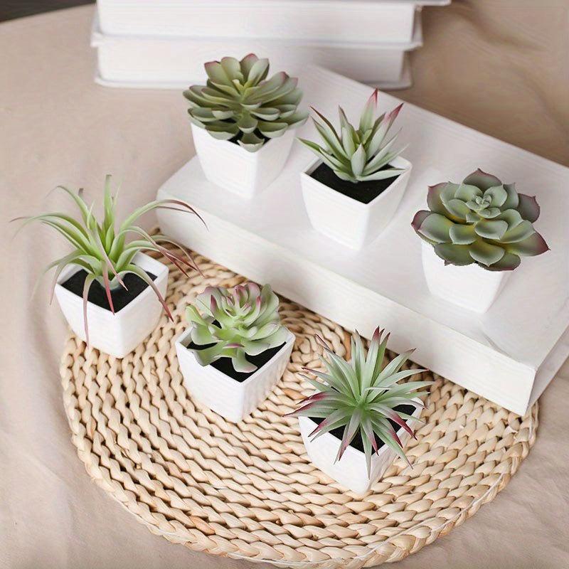 6pcs Mini Artificial Succulent Plants with Pots for Decoration