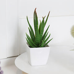 6pcs Mini Potted Artificial Flower Plants for Indoor Decor