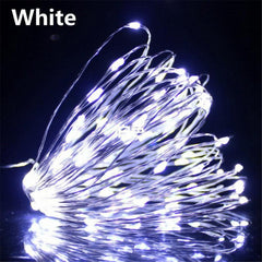 USB Fairy String Lights LED Copper Wire Garland Holiday Lighting