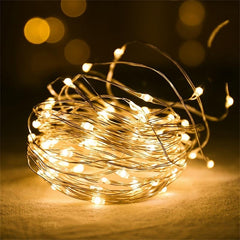 USB Fairy String Lights LED Copper Wire Garland Holiday Lighting