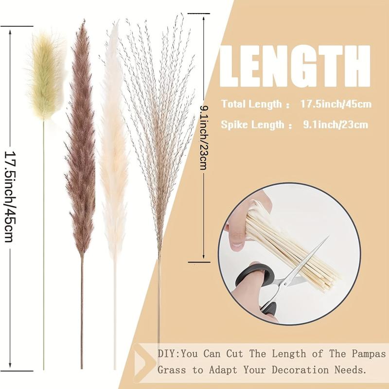 50pcs Natural Dried Pampas Grass Bouquet Boho Home Decor Bouquet Phragmites