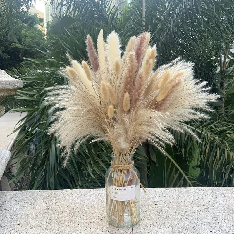 50pcs Natural Dried Pampas Grass Bouquet Boho Home Decor Bouquet Phragmites