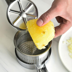 Stainless Steel Manual Juicer Potato Mixer Fruit Press Vegetable Press