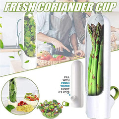 Herb Saver Pod Vegetable Preservation Bottle Fresh Herb Keeper