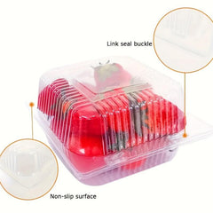 50pcs Plastic Hinged Noodle Container To Go