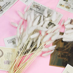 30 Pcs Natural Dried Rabbit Tail Grass Flowers For Home Wedding Party Decor