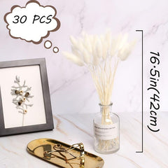 30 Pcs Natural Dried Rabbit Tail Grass Flowers For Home Wedding Party Decor