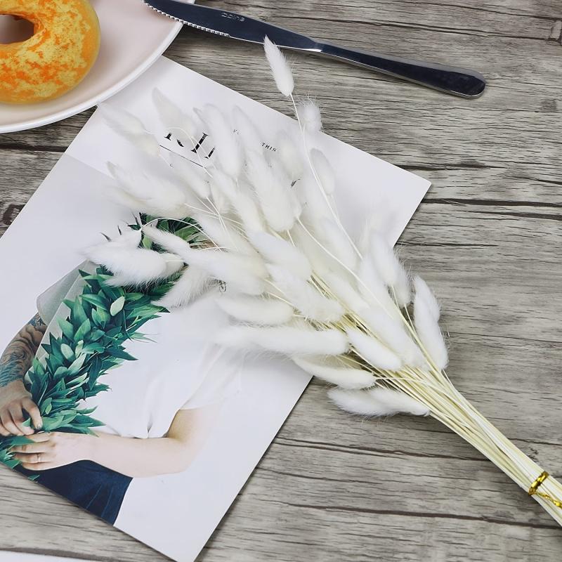 30 Pcs Natural Dried Rabbit Tail Grass Flowers For Home Wedding Party Decor