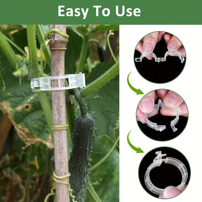 100pcs Plant Support Clips Garden Tomato Grape Vine