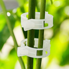 100pcs Plant Support Clips Garden Tomato Grape Vine