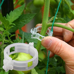 100pcs Plant Support Clips Garden Tomato Grape Vine