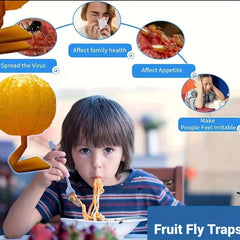 Pumpkin Fly Traps Small Insect Traps Indoor Fruit Fly Traps