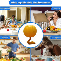 Pumpkin Fly Traps Small Insect Traps Indoor Fruit Fly Traps