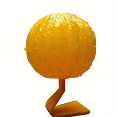 Pumpkin Fly Traps Small Insect Traps Indoor Fruit Fly Traps