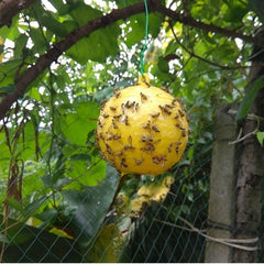 1pc Pumpkin Shape Sticky Fly Trap Ball Outdoor Pest Control