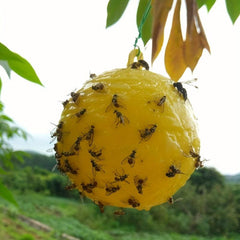 1pc Pumpkin Shape Sticky Fly Trap Ball Outdoor Pest Control