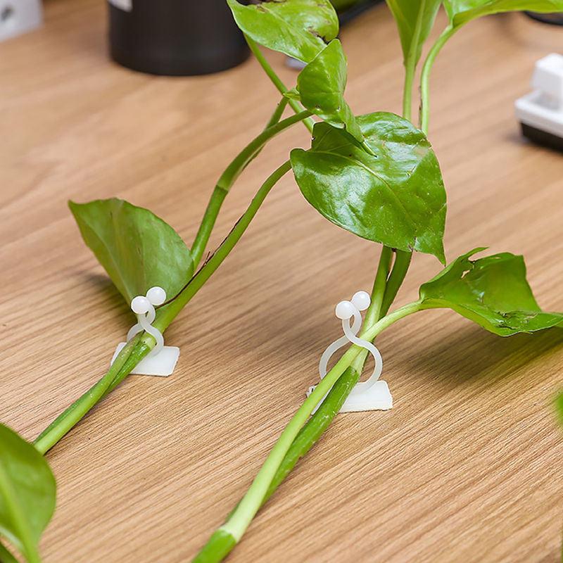 Plant Climbing Wall Self-Adhesive Fasteners Vine Buckle Hooks
