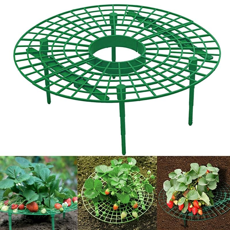 1pc Strawberry Supports Vegetable Rack Plant Climbing Vine Pillar Garden Decor