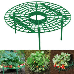 1pc Strawberry Supports Vegetable Rack Plant Climbing Vine Pillar Garden Decor