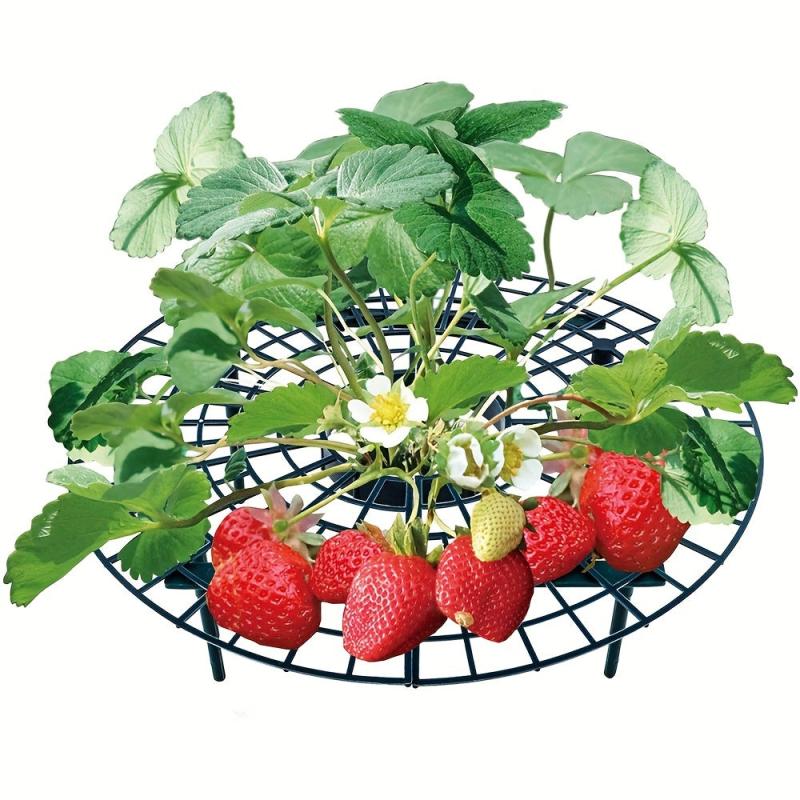 Strawberry Supports Plants Growing Protector Balcony Vegetable Rack