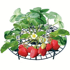 Strawberry Supports Plants Growing Protector Balcony Vegetable Rack