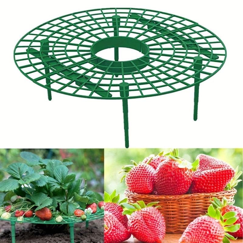 Strawberry Supports Plants Growing Protector Balcony Vegetable Rack