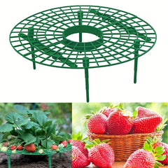 Strawberry Supports Plants Growing Protector Balcony Vegetable Rack