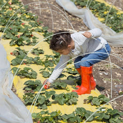 Greenhouse Hoops for DIY Planting Tunnel Rust-Resistant Fiberglass Support Hoop