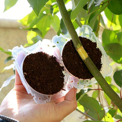 Plastic Rooting Ball Grafting Tool for Easy Garden Growth