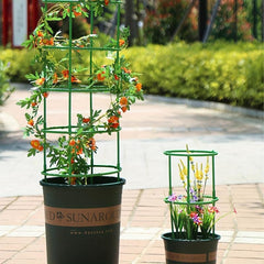 Plant Support Stakes & Half Round Rings for Easy Plant Growth
