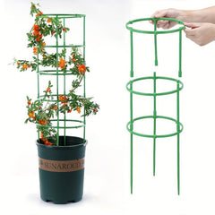 Plant Support Stakes & Half Round Rings for Easy Plant Growth