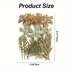 15pcs Dried Pressed Leaves Flowers Resin Fillers Greenery Crafts