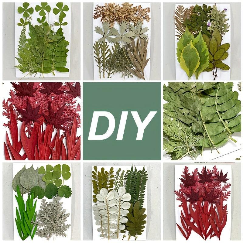 15pcs Dried Pressed Leaves Flowers Resin Fillers Greenery Crafts