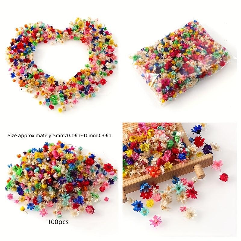 100pcs 5-10mm Natural Star Flower Head DIY Wreath Home Decor