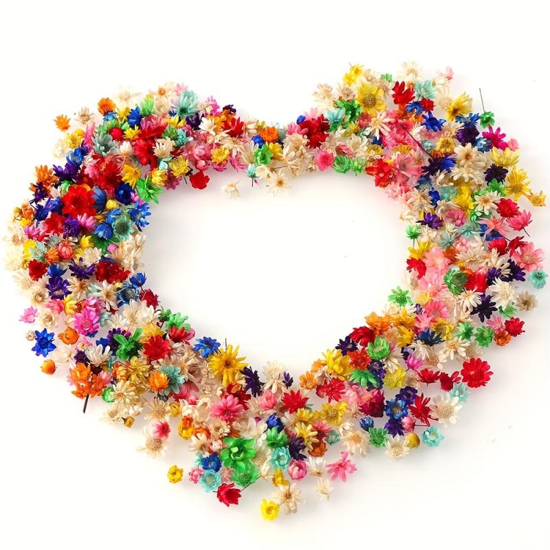 100pcs 5-10mm Natural Star Flower Head DIY Wreath Home Decor