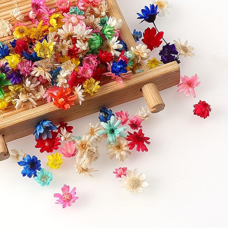 100pcs 5-10mm Natural Star Flower Head DIY Wreath Home Decor