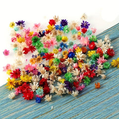100pcs 5-10mm Natural Star Flower Head DIY Wreath Home Decor