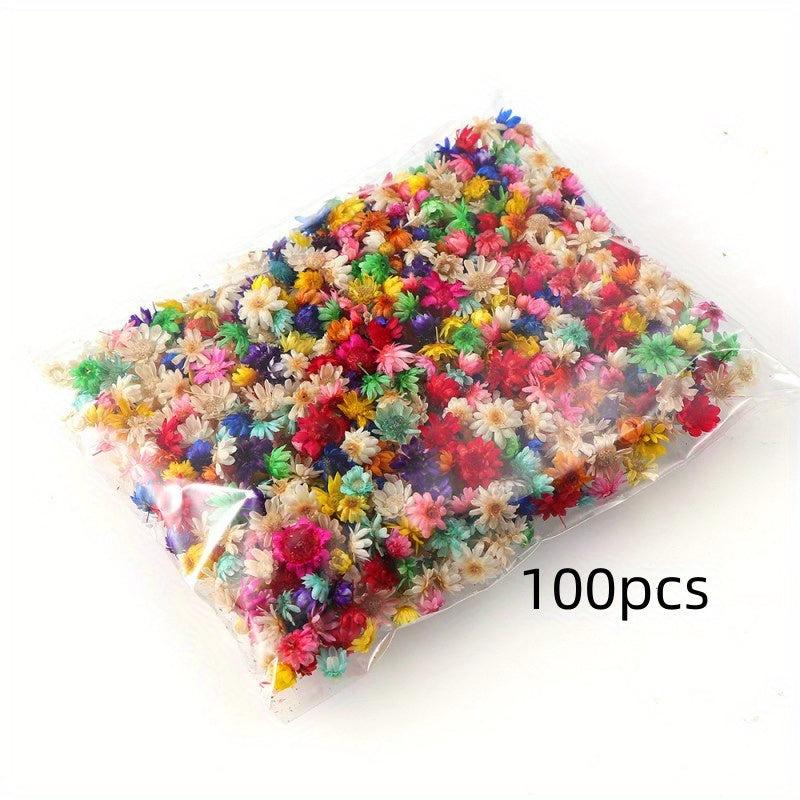 100pcs 5-10mm Natural Star Flower Head DIY Wreath Home Decor