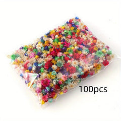 100pcs 5-10mm Natural Star Flower Head DIY Wreath Home Decor