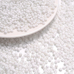 1000pcs Czech Glass Seed Beads for DIY Bracelet Necklace