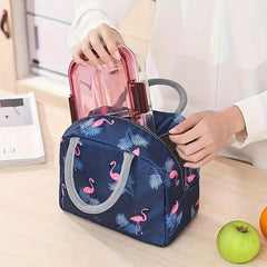 Picnic Bag Lunch Box Tote with Aluminum Foil Insulation Portable Meal Carrier