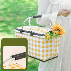 Portable Insulated Backpack Cooler Bag Food Storage Basket